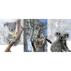 TRI-INSPIRAZION GREETING CARD Cute Koalas